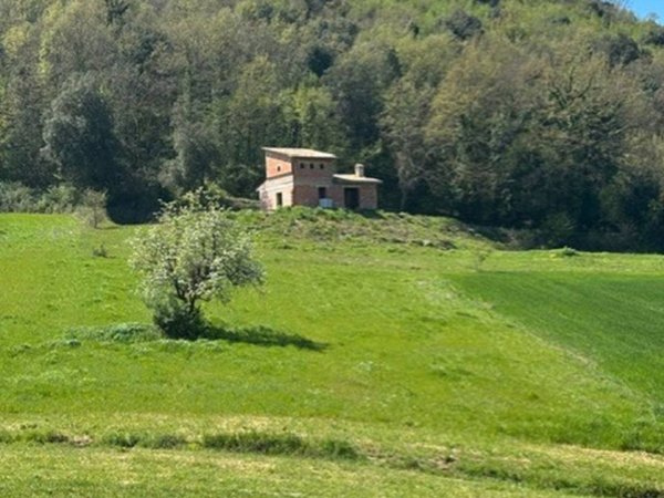 casa indipendente in vendita ad Amelia