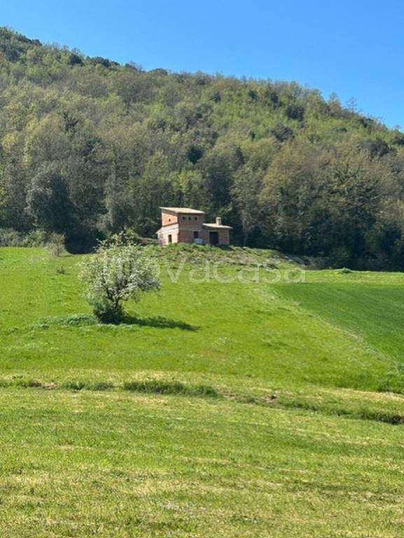 casa indipendente in vendita ad Amelia