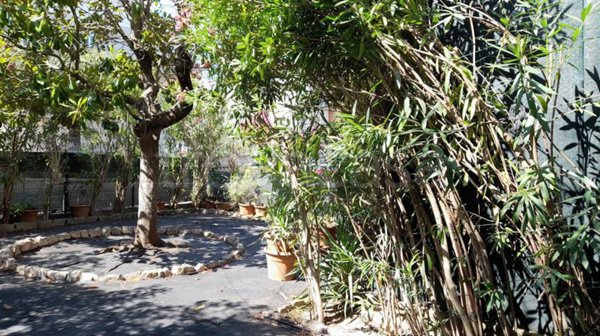 appartamento in vendita ad Amelia