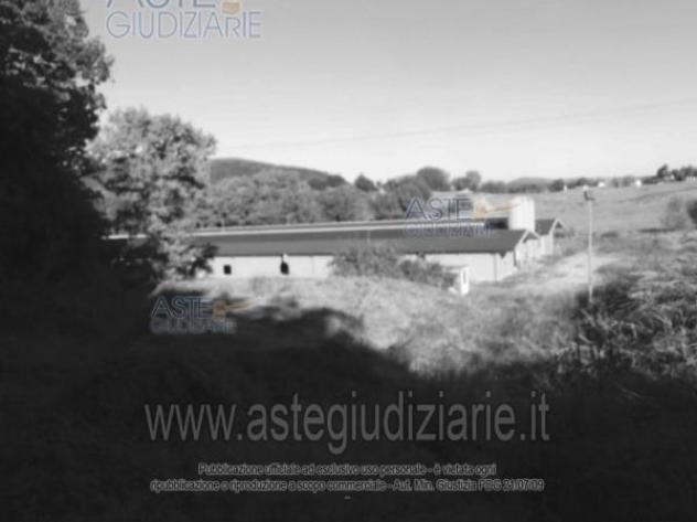 negozio in vendita ad Amelia