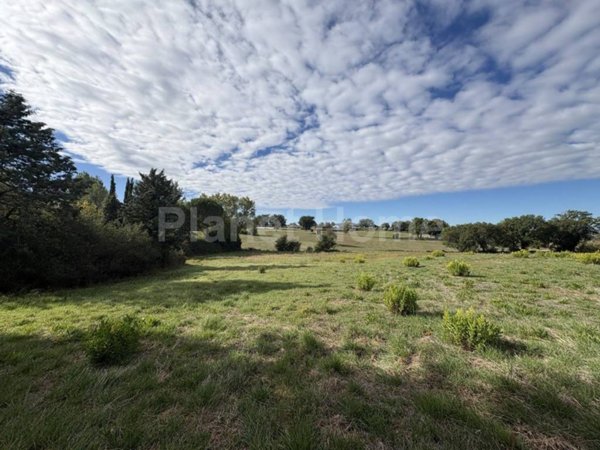 terreno agricolo in vendita ad Amelia