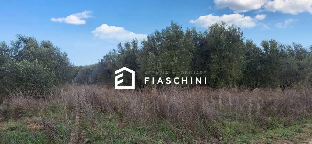 terreno agricolo in vendita ad Amelia
