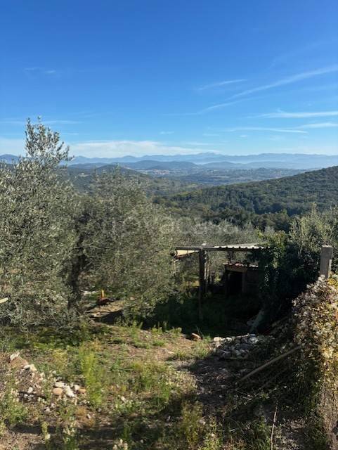 terreno agricolo in vendita ad Amelia