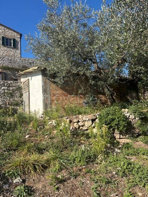 terreno agricolo in vendita ad Amelia