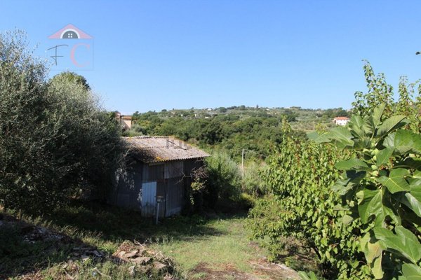 terreno agricolo in vendita ad Amelia