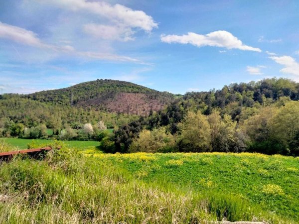 terreno agricolo in vendita ad Amelia