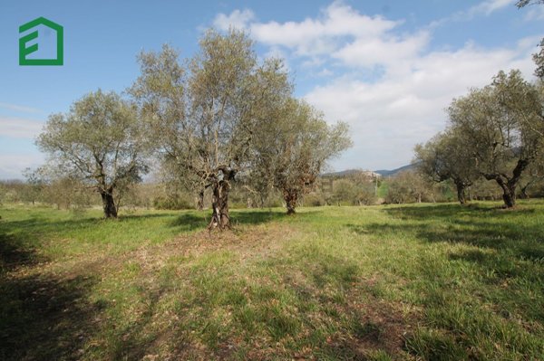 locale di sgombero in vendita ad Amelia