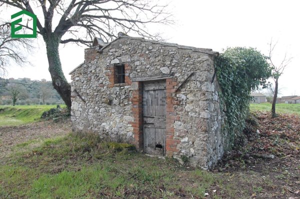 terreno in vendita ad Amelia