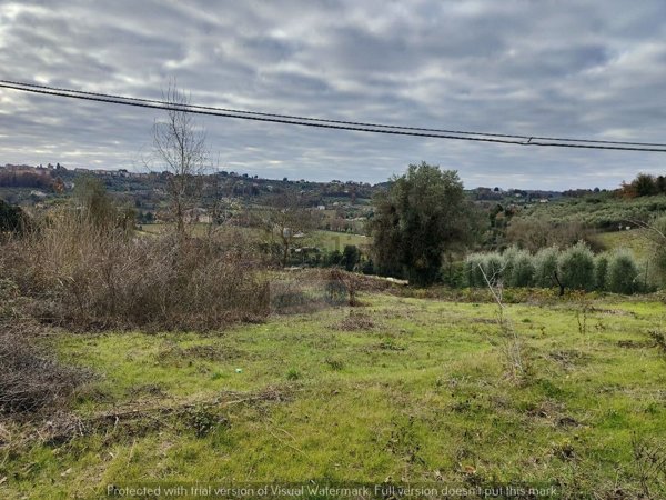 casa indipendente in vendita ad Amelia