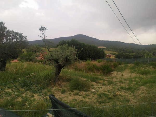 casa indipendente in vendita ad Amelia