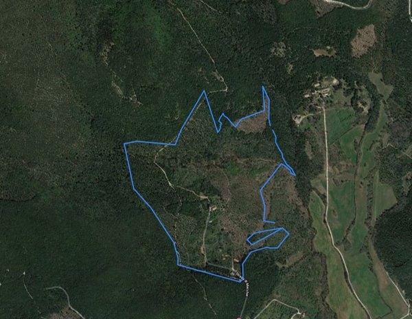 azienda agricola in vendita ad Amelia