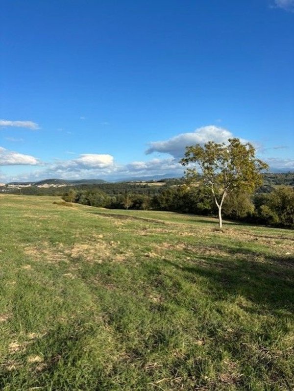 terreno agricolo in vendita ad Amelia
