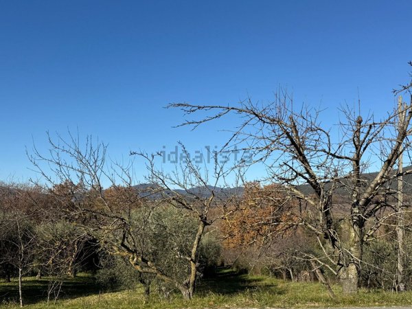terreno in vendita ad Amelia