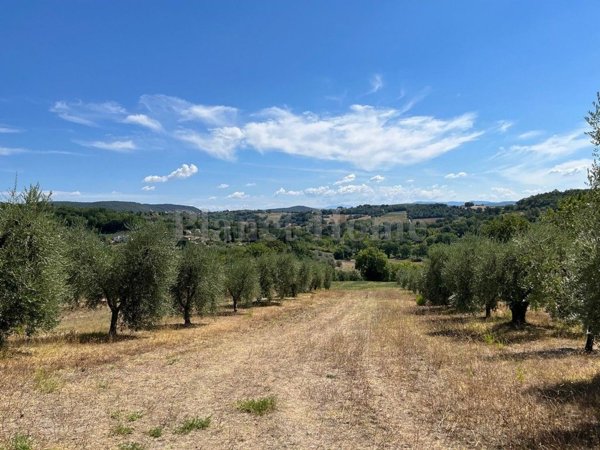 casa indipendente in vendita ad Amelia
