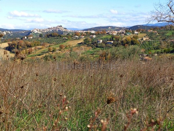 casa indipendente in vendita ad Amelia