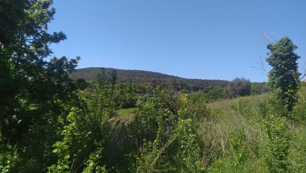 casa indipendente in vendita ad Amelia