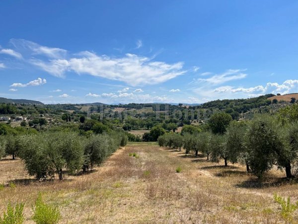 casa indipendente in vendita ad Amelia