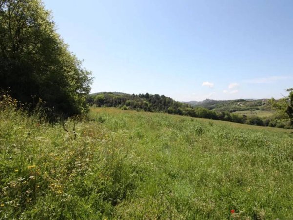 terreno agricolo in vendita ad Amelia