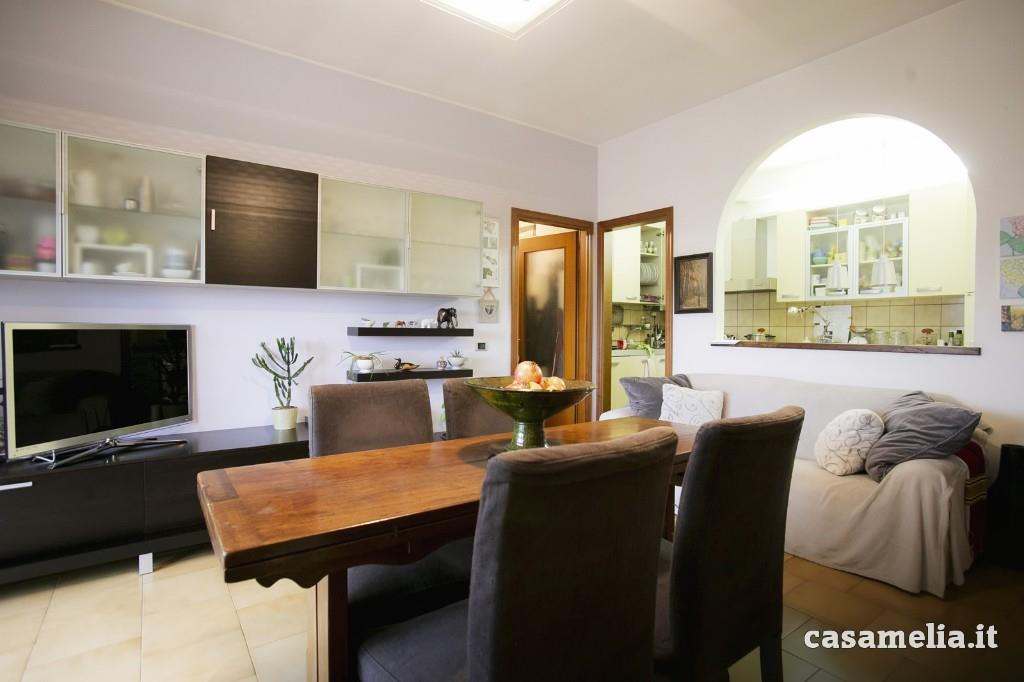 appartamento in vendita ad Amelia