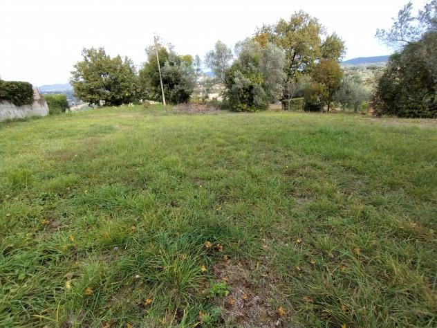 terreno agricolo in vendita ad Amelia