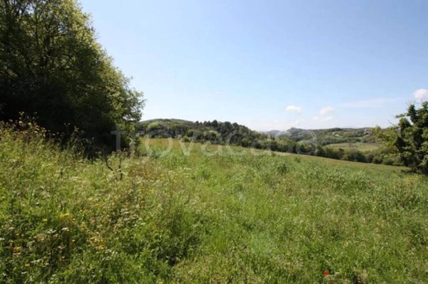 terreno agricolo in vendita ad Amelia