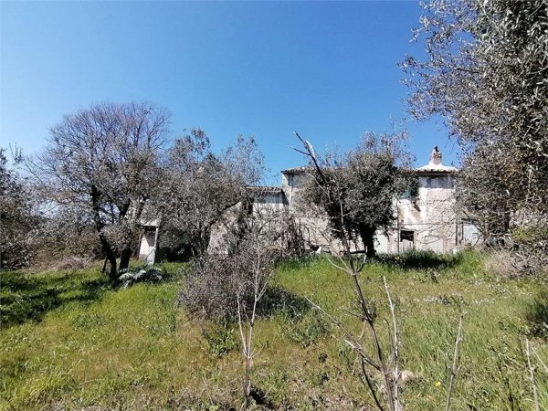 casa indipendente in vendita ad Amelia