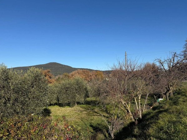 appartamento in vendita ad Amelia