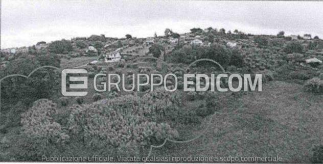 terreno agricolo in vendita ad Amelia