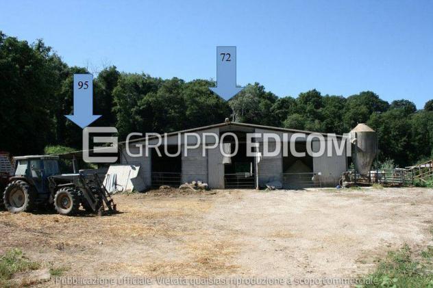 locale commerciale in vendita ad Amelia