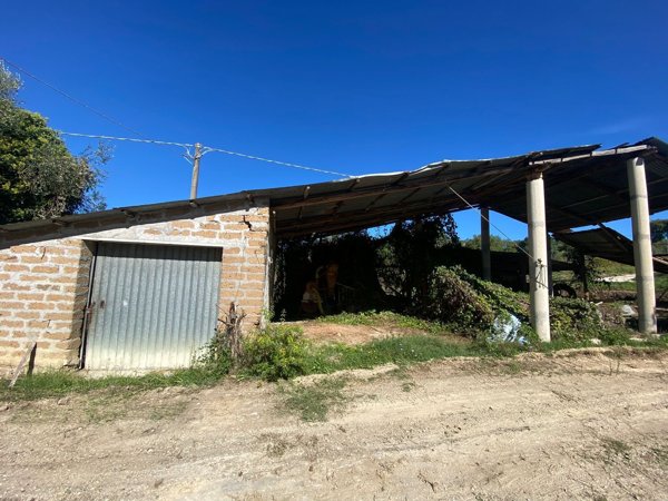 casa indipendente in vendita ad Amelia