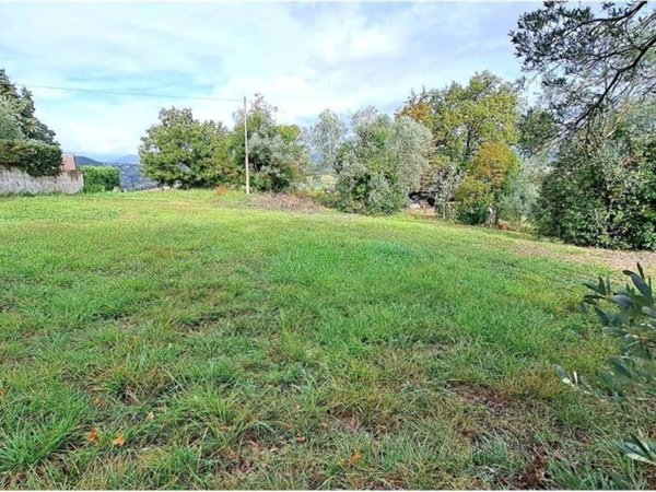 terreno agricolo in vendita ad Amelia