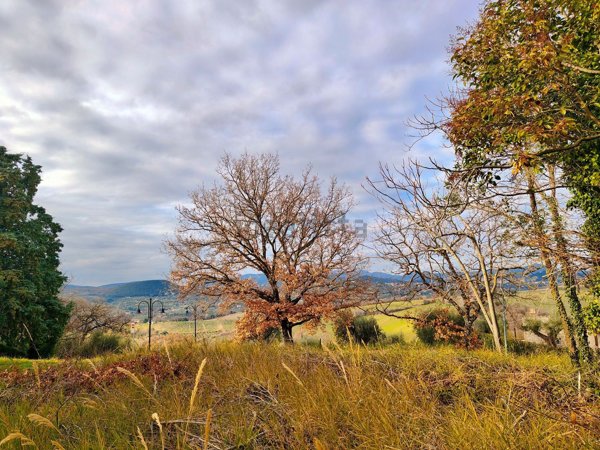 terreno edificabile in vendita ad Amelia