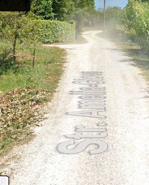 terreno agricolo in vendita ad Amelia
