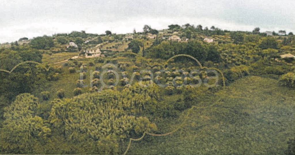 terreno agricolo in vendita ad Amelia