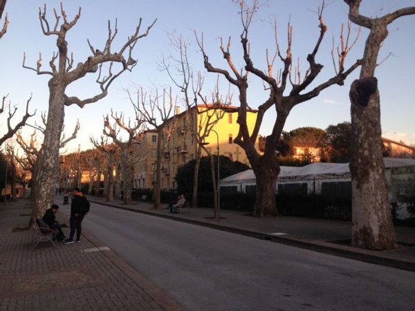 appartamento in vendita ad Amelia