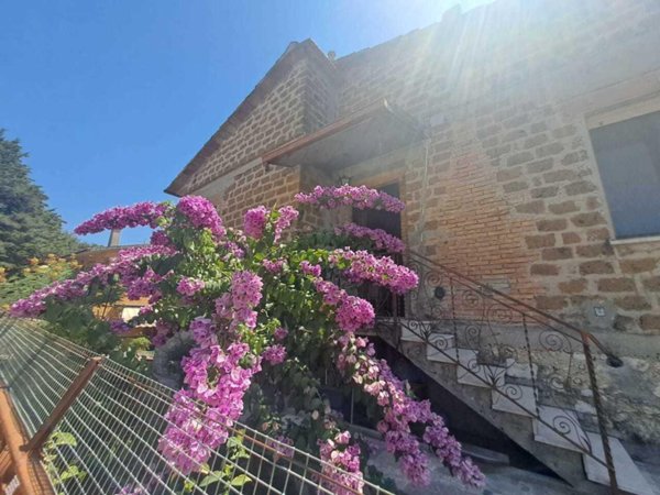 casa indipendente in vendita ad Amelia