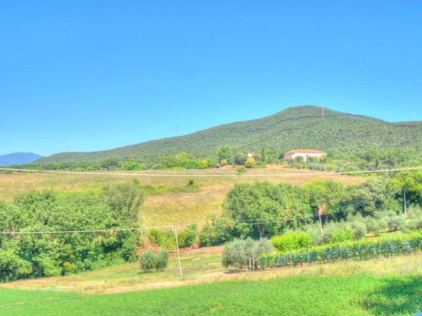 casa indipendente in vendita ad Amelia