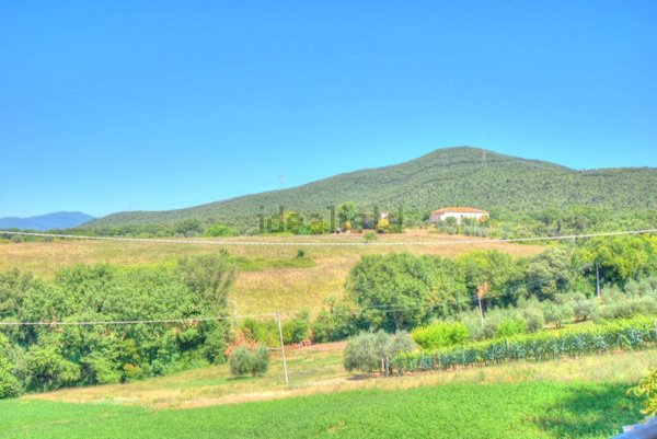 casa indipendente in vendita ad Amelia