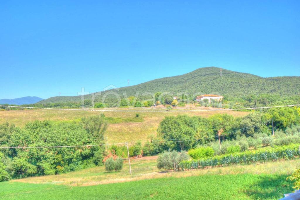 casa indipendente in vendita ad Amelia