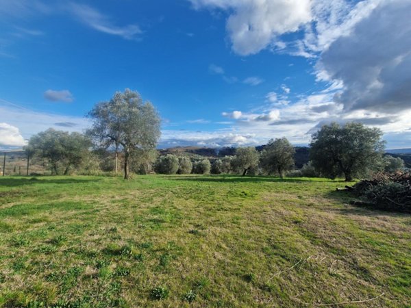 appartamento in vendita ad Amelia