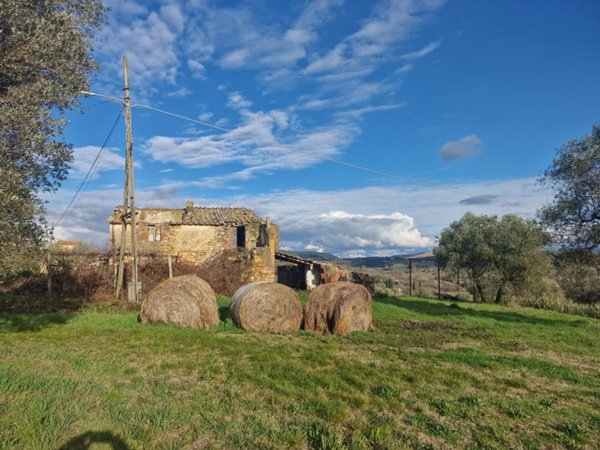 pentavano in vendita ad Amelia