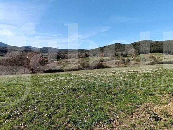 terreno agricolo in vendita ad Amelia