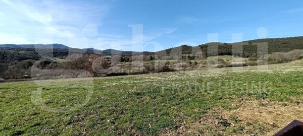 terreno agricolo in vendita ad Amelia