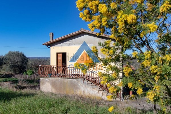 pentavano in vendita ad Amelia