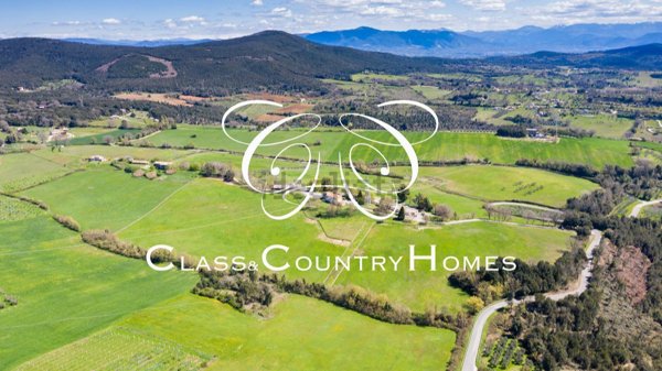 azienda agricola in vendita ad Amelia