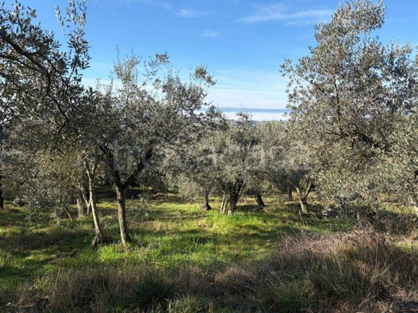 casa indipendente in vendita ad Amelia