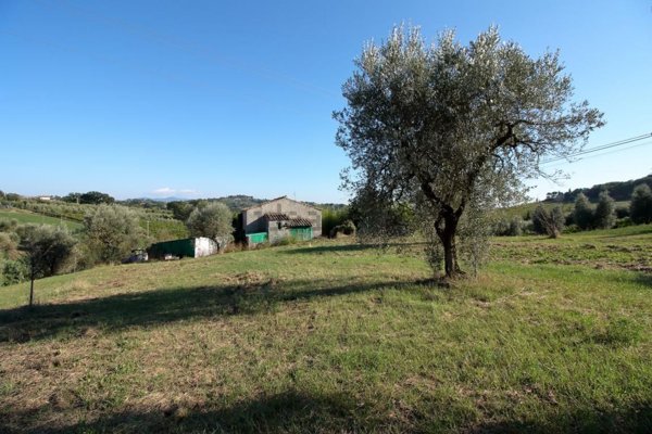 casale in vendita ad Amelia