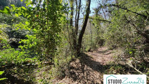 terreno agricolo in vendita ad Amelia