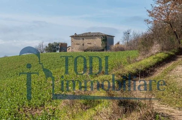 casa indipendente in vendita ad Amelia