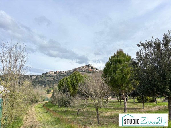 casa indipendente in vendita ad Amelia